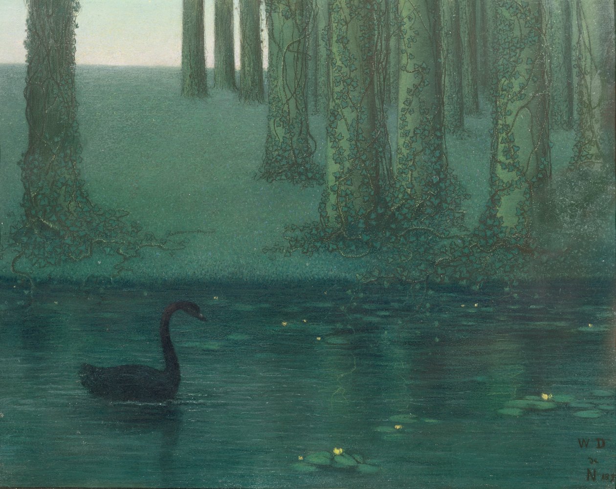 El Cisne Negro, 1896 de William Degouve de Nuncques