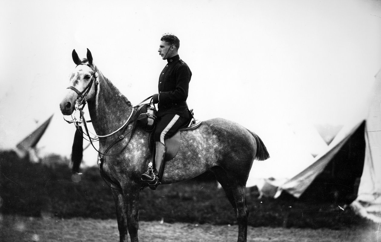 Oficial de los Scots Greys, c.1890s de William Gregory