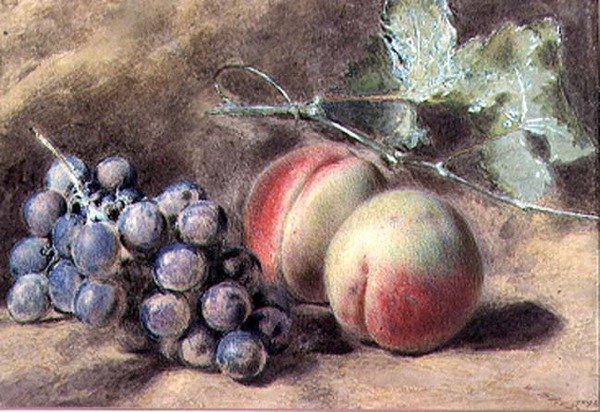 Uvas y duraznos, siglo XIX de William Henry Hunt