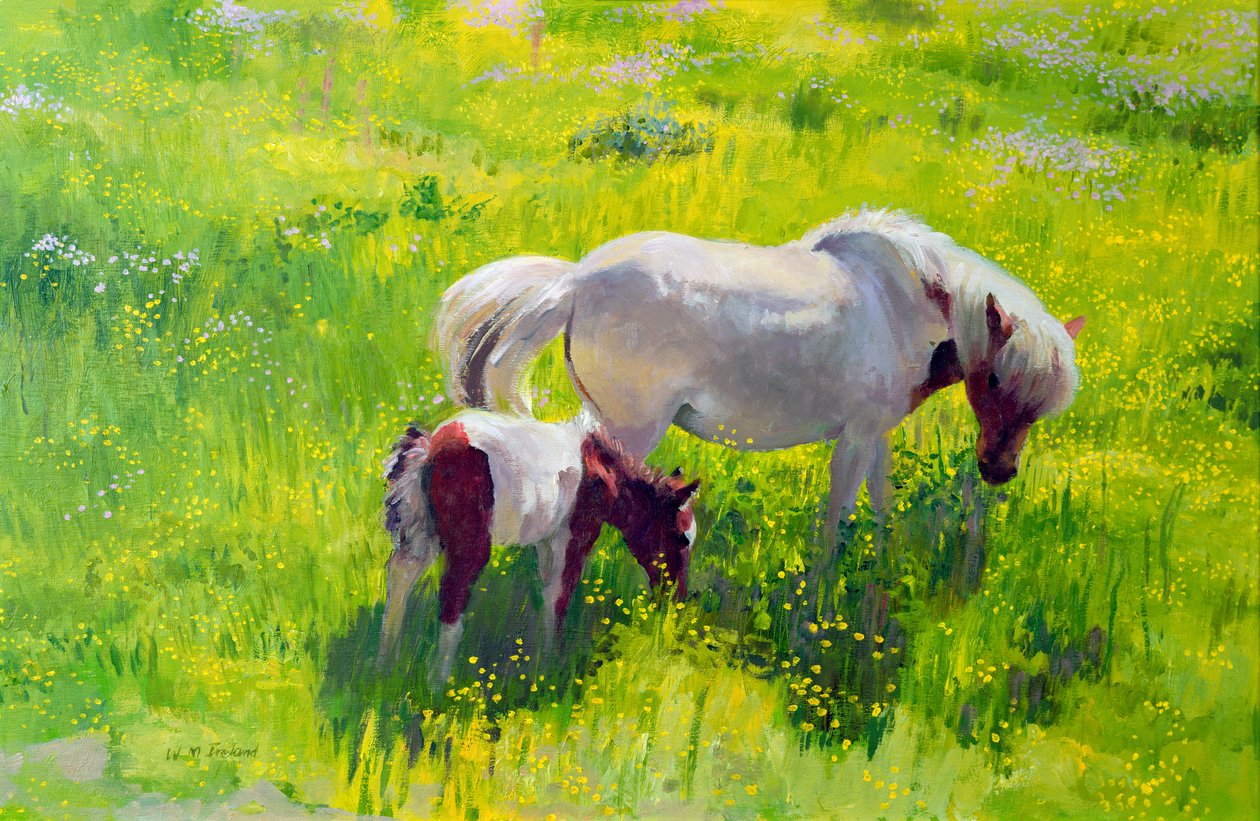 Caballo pío y potro de William Ireland