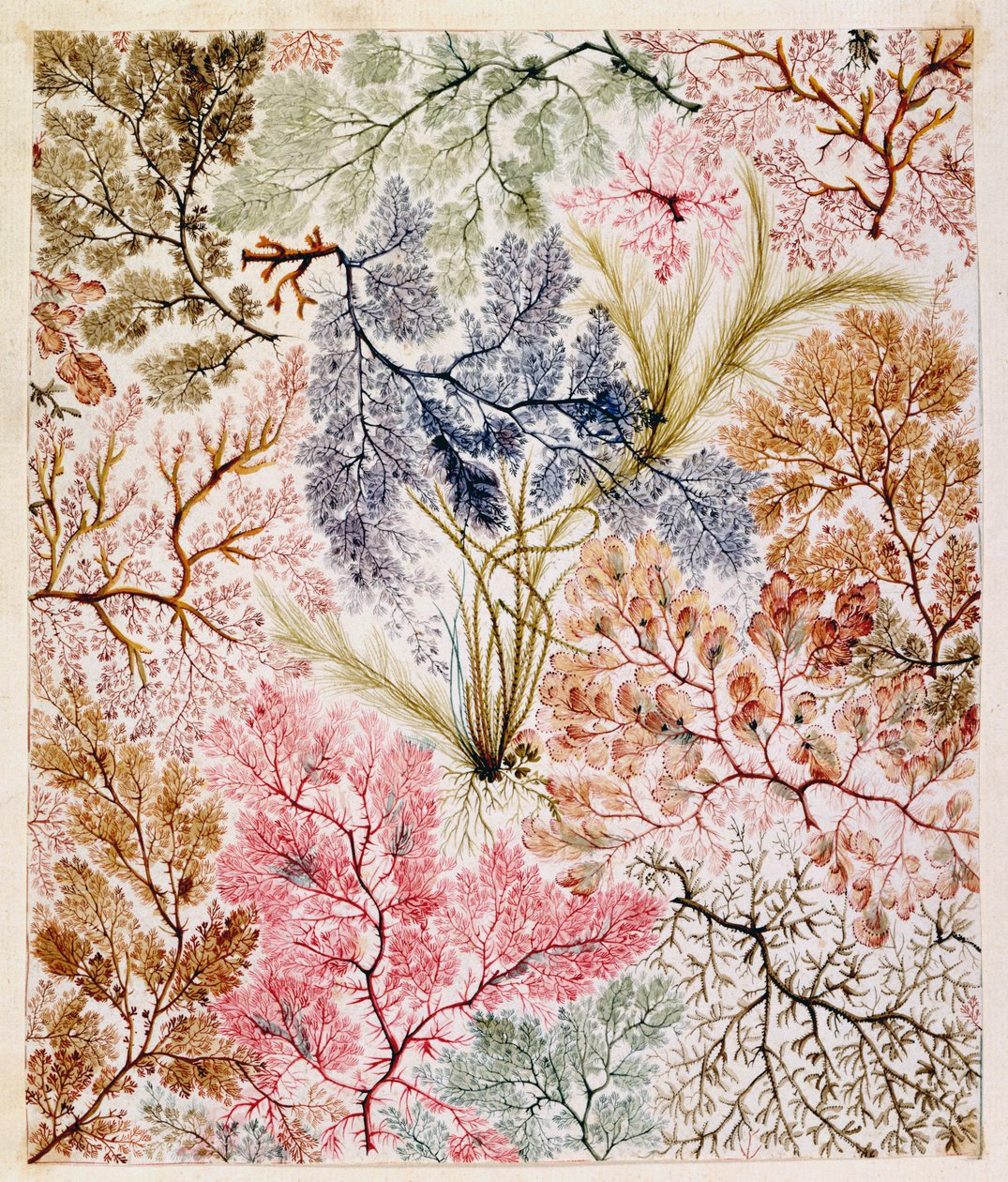 Diseño Textil, c.1788-92 de William Kilburn