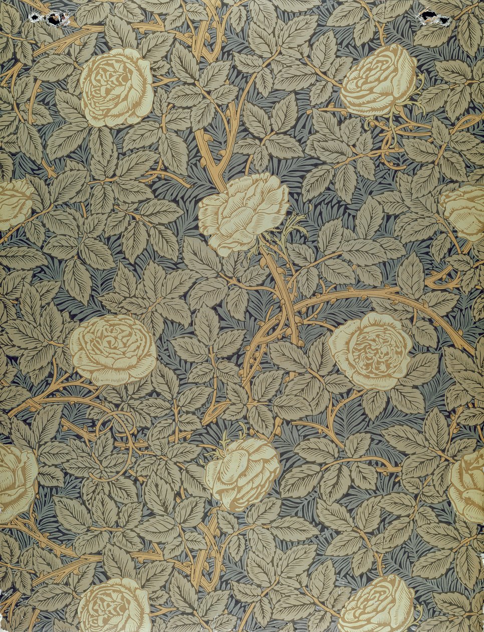 Diseño de 