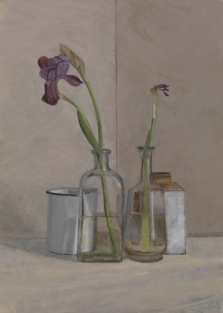 Iris latas blancas de William Packer