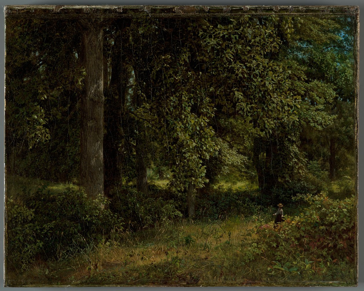 Árboles de tulipán, 1859 de William Trost Richards