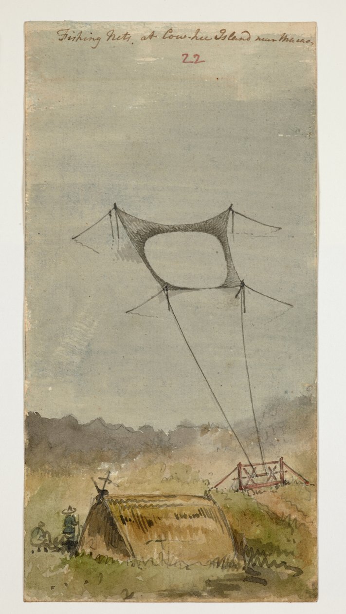 WD 961 f.22 de William Alexander