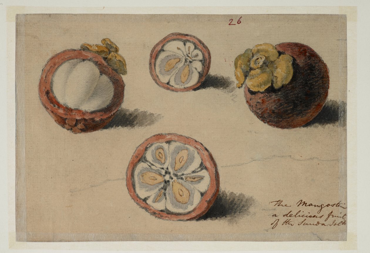 WD 961 f.26 de William Alexander
