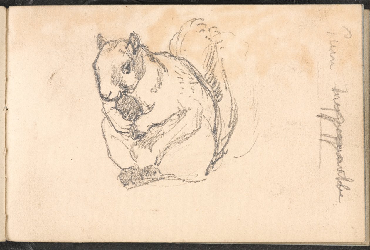 Boceto de una ardilla, 1879 circa de William Barnes Wollen
