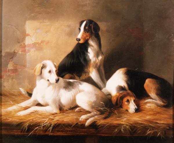 Tres perros en un establo de William Barraud