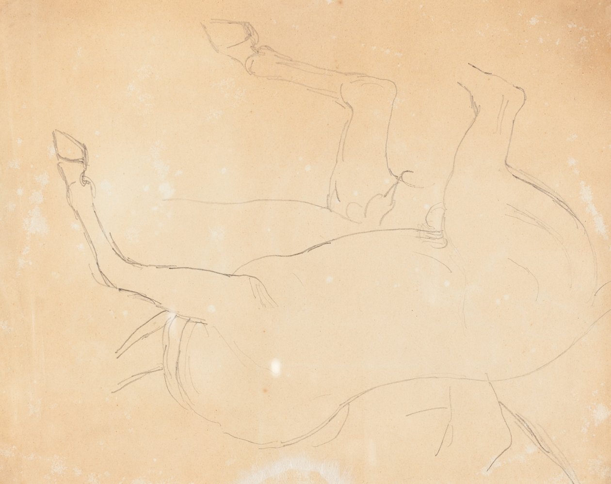Estudio de un caballo (reverso) de William Etty