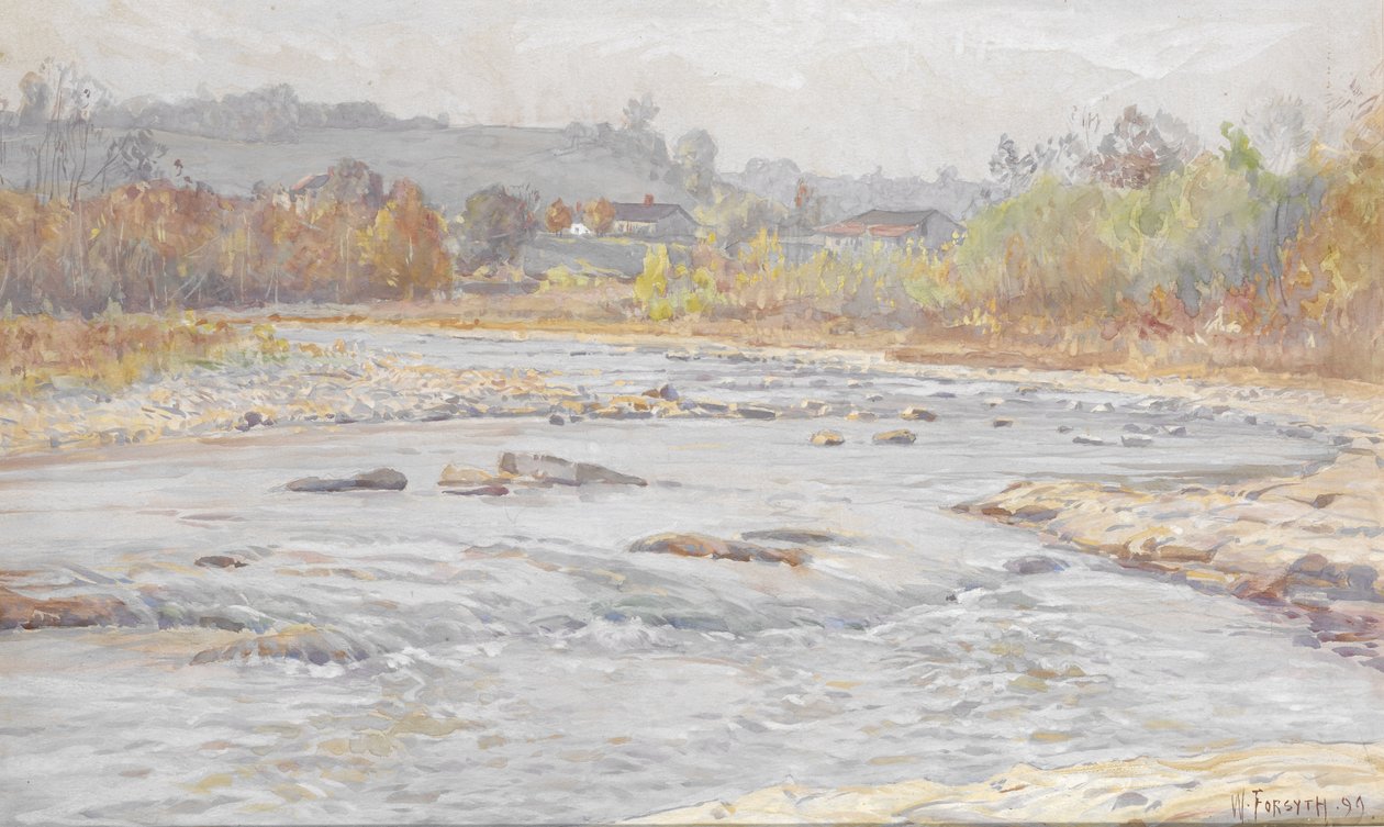 Rápidos de Whitewater de William Forsyth