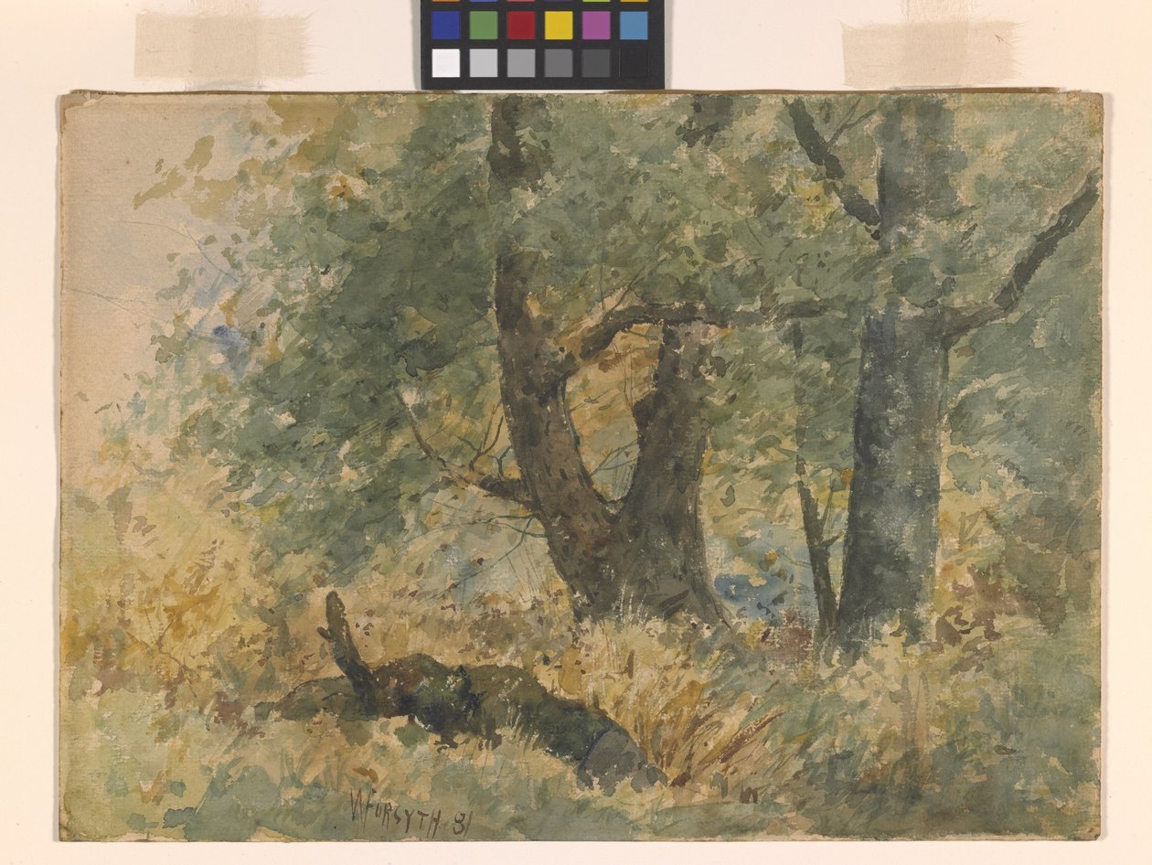 Paisaje boscoso (acuarela) de William Forsyth