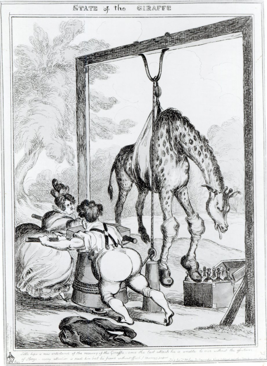 Estado de la jirafa, 1829 de William Heath