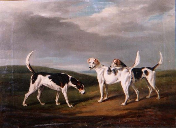 Perros de caza en un paisaje de William Henry Davis