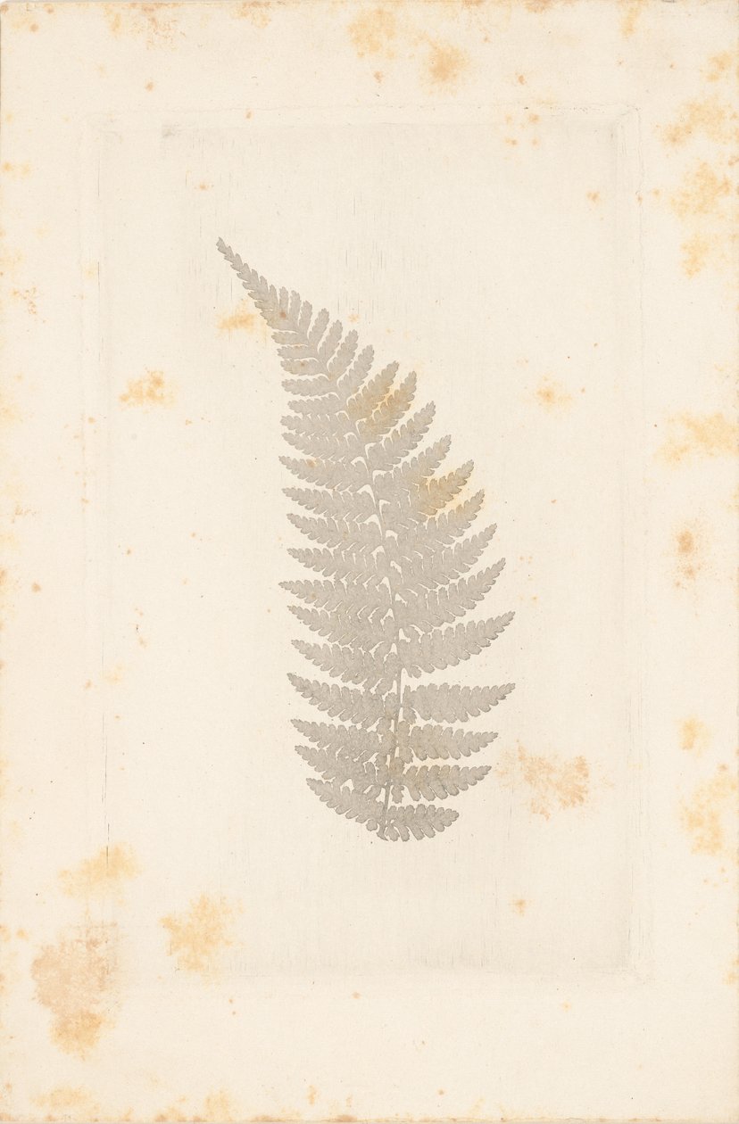 [Lejos] de William Henry Fox Talbot