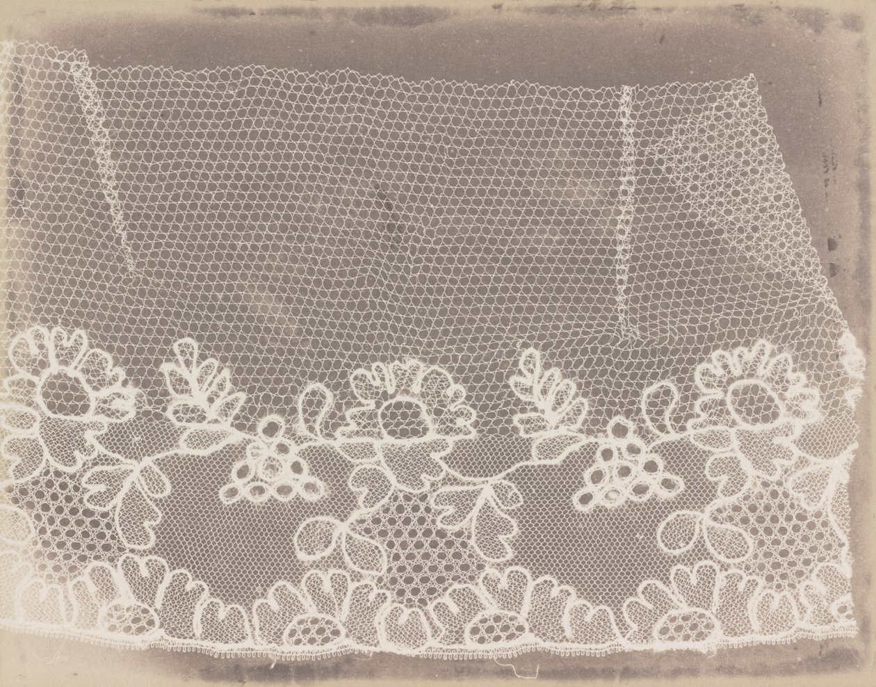 Encaje de William Henry Fox Talbot
