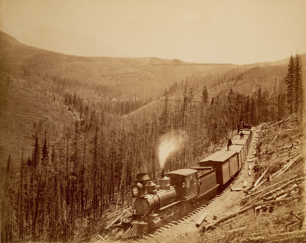 Paso de Marshall, Westside de William Henry Jackson