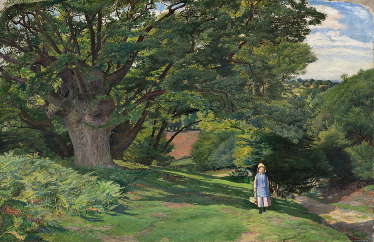 Hayes Common de William Henry Millais