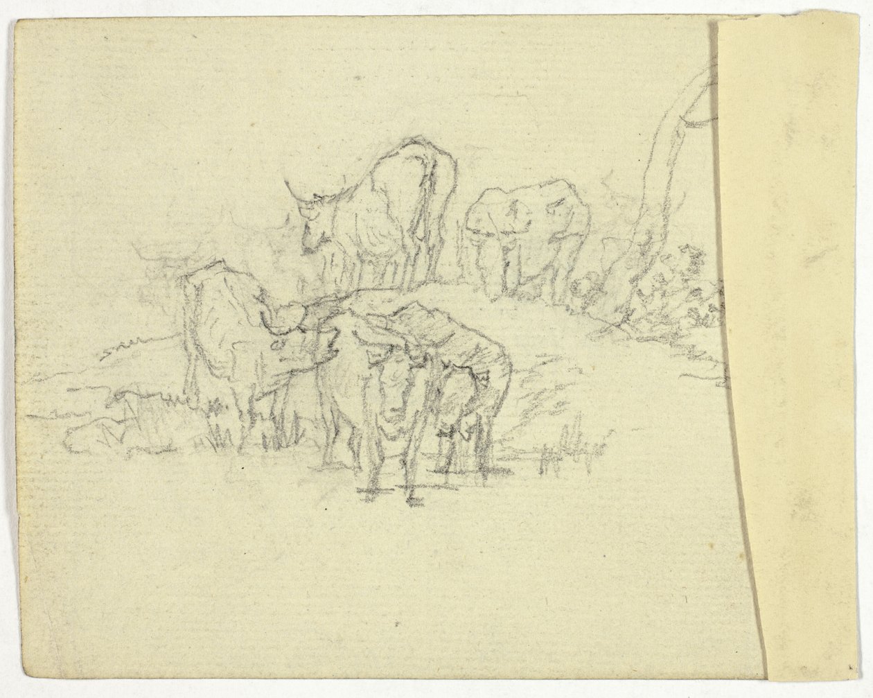 Ganado (recto); El charlatán (verso) de William Henry Pyne