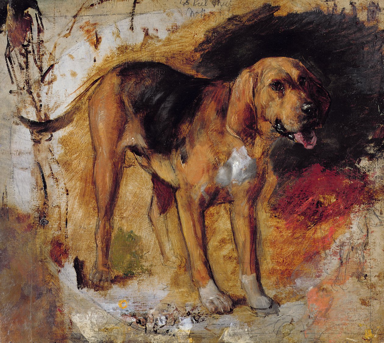 Estudio de un sabueso de William Holman Hunt