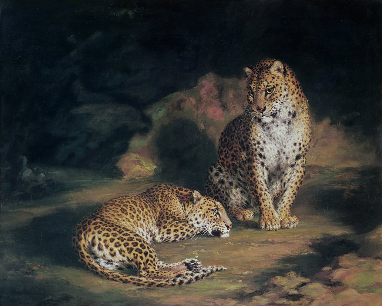 Un par de leopardos, 1845 de William Huggins