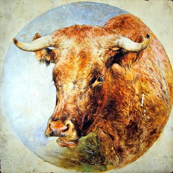 Cabeza de una vaca de cuernos largos de William Huggins