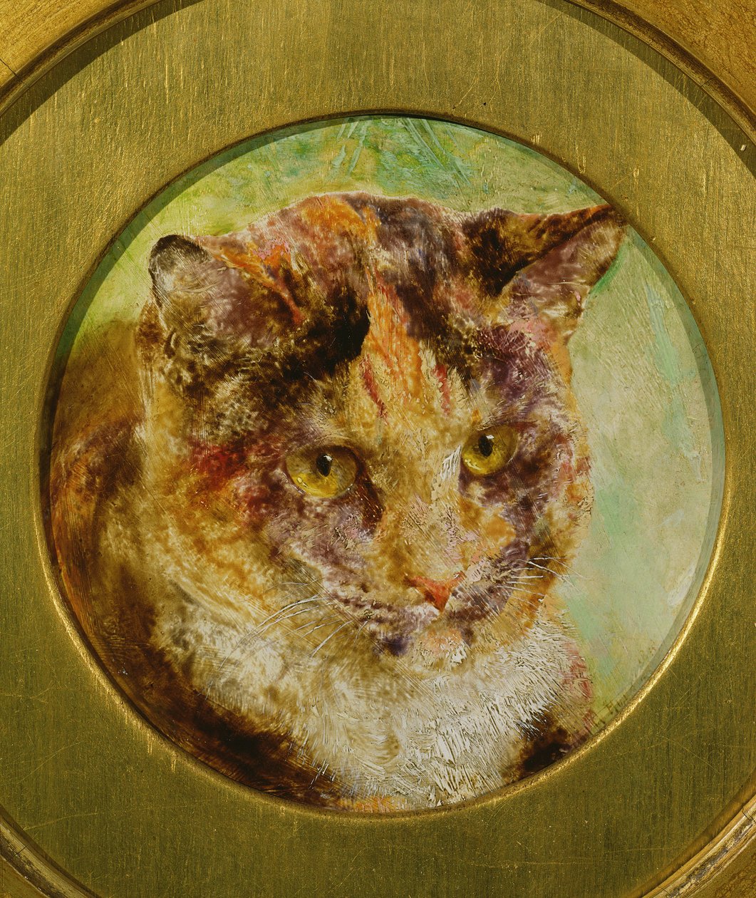 Estudio de un Gato Carey de William Huggins