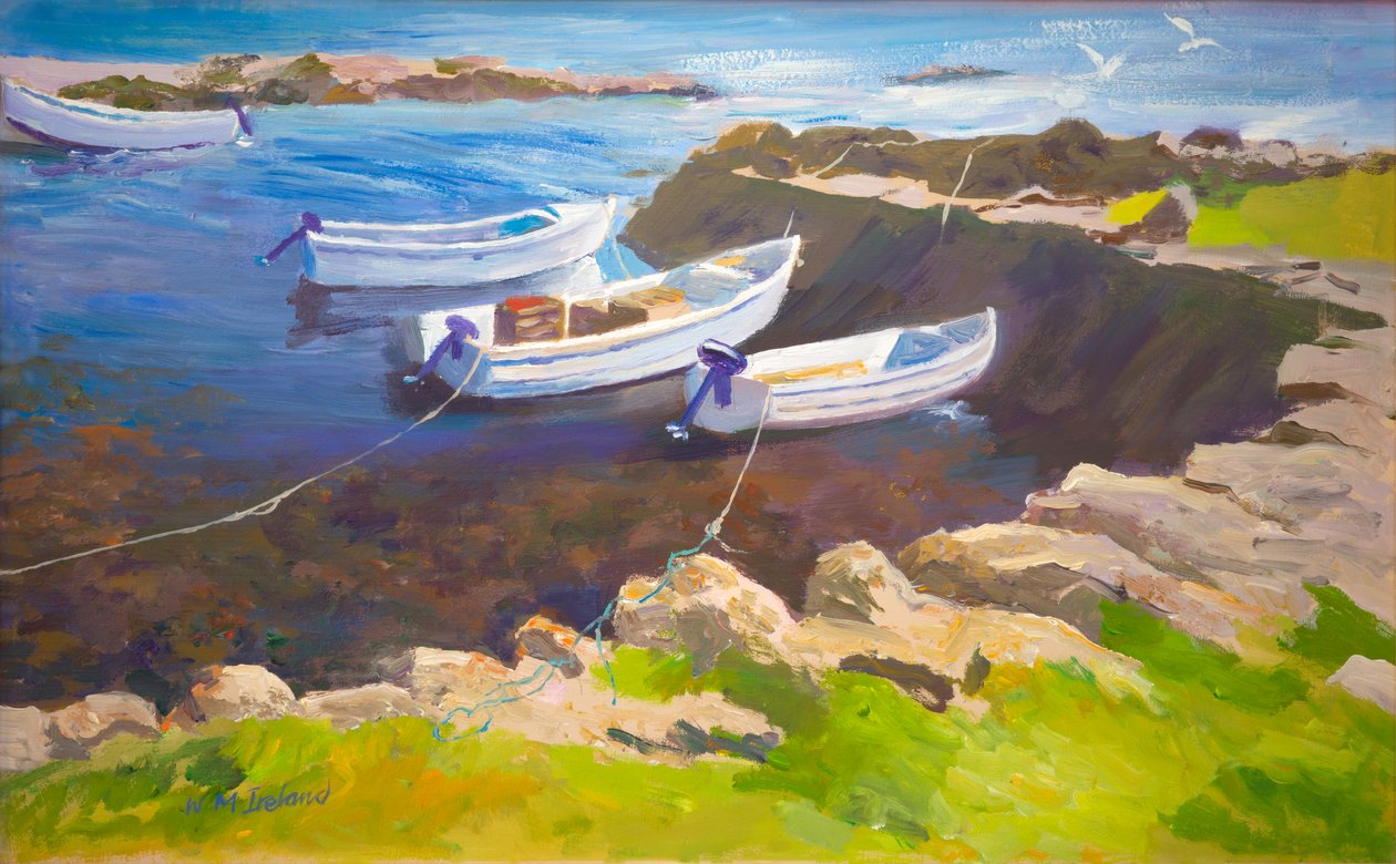 Rocky harbour (óleo sobre tabla) de William Ireland