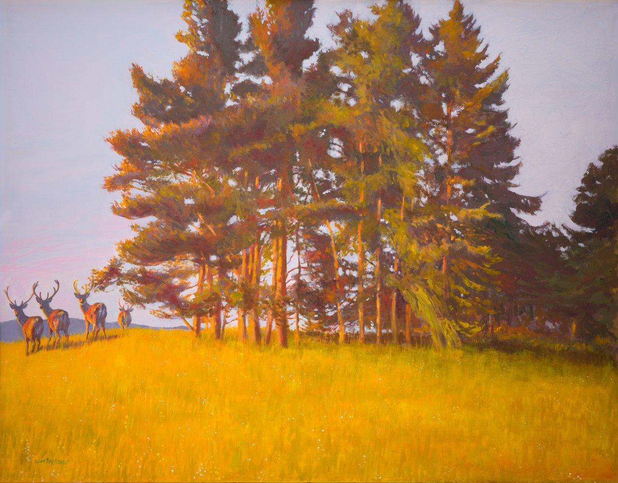 Vista desde la cabina (aceite a bordo) de William Ireland