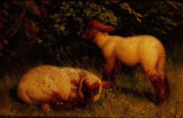 Corderos de William J. Webbe or Webb