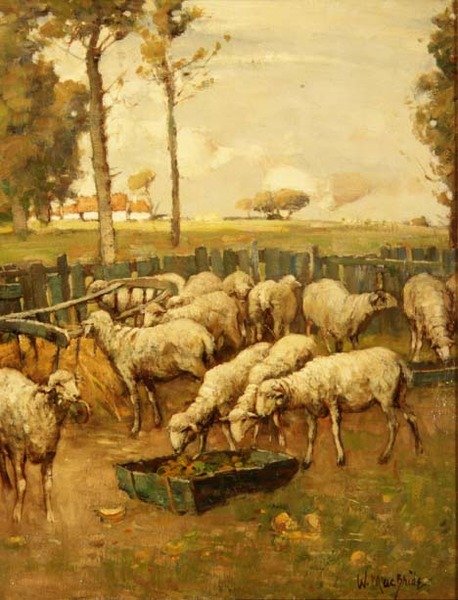 El redil de William McBride
