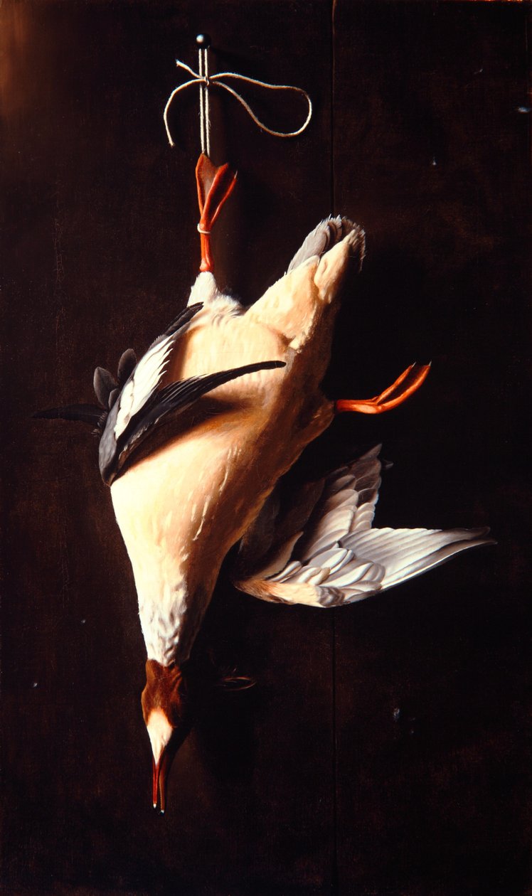Merganser de William Michael Harnett