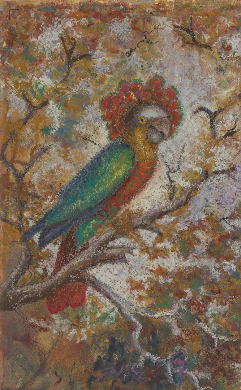 Loro, 1909 de William N. Buckner