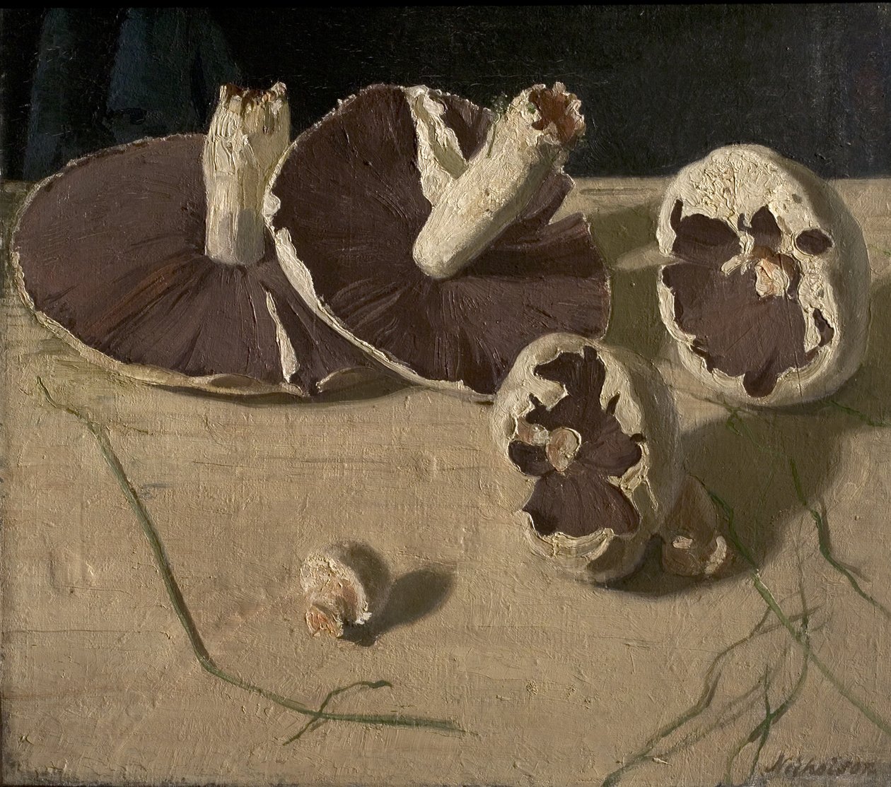 Setas de William Nicholson