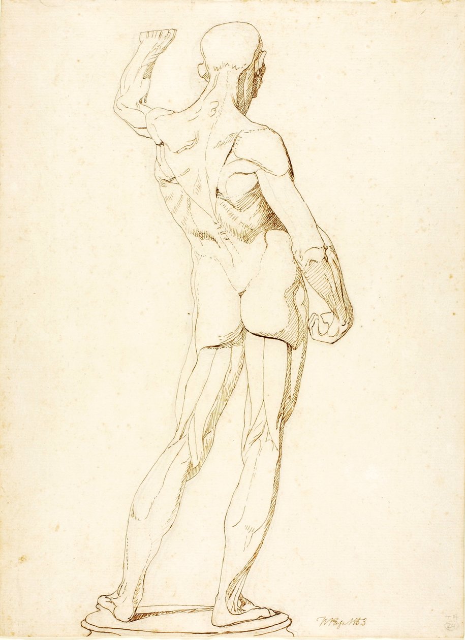 (Un Ecorche, vista trasera) de William Page