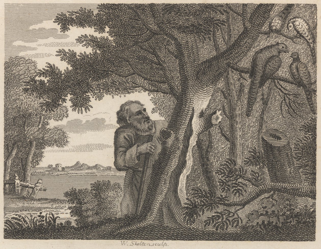 El filósofo y los faisanes de William Skelton