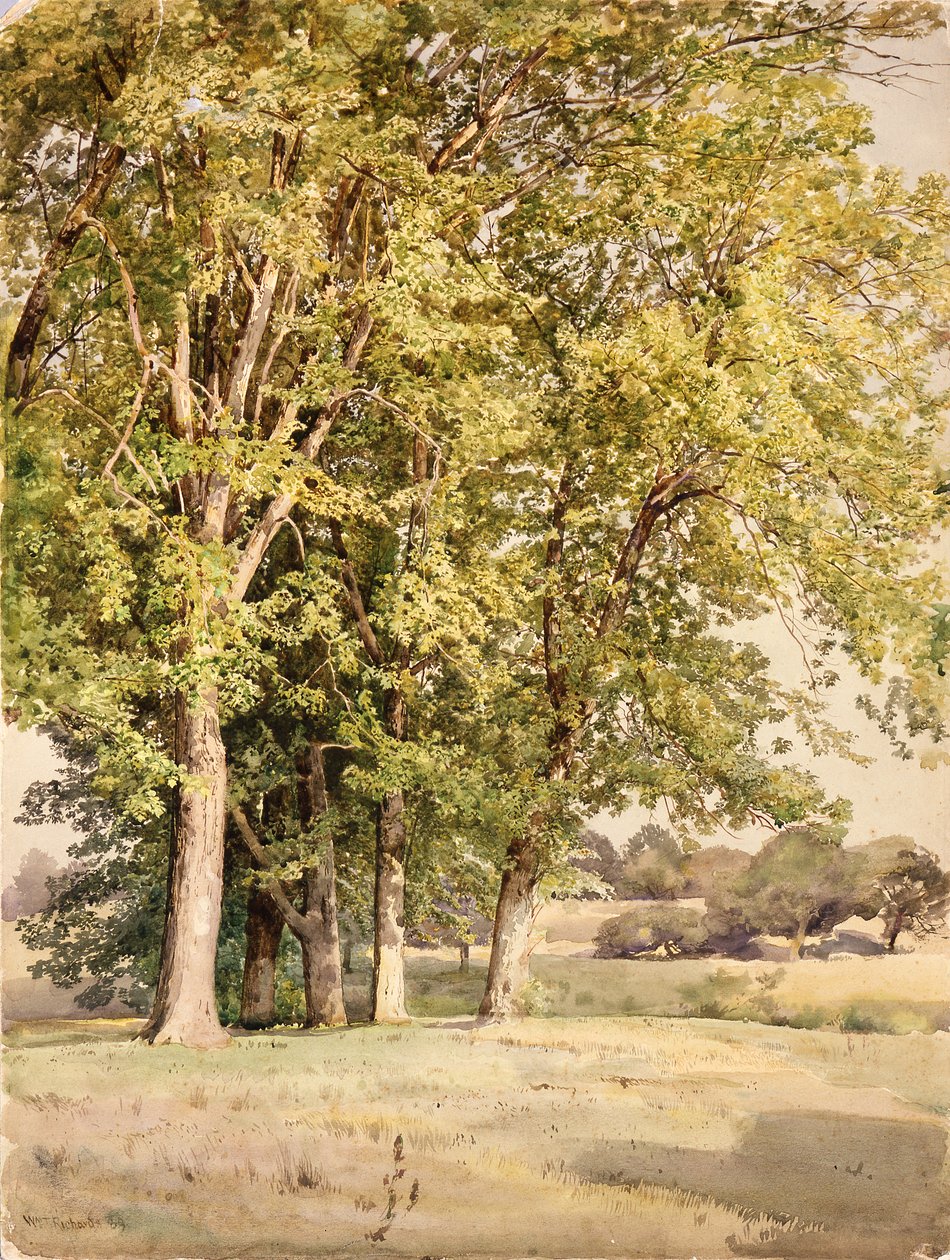 Arces en el condado de Chester, Pensilvania de William Trost Richards