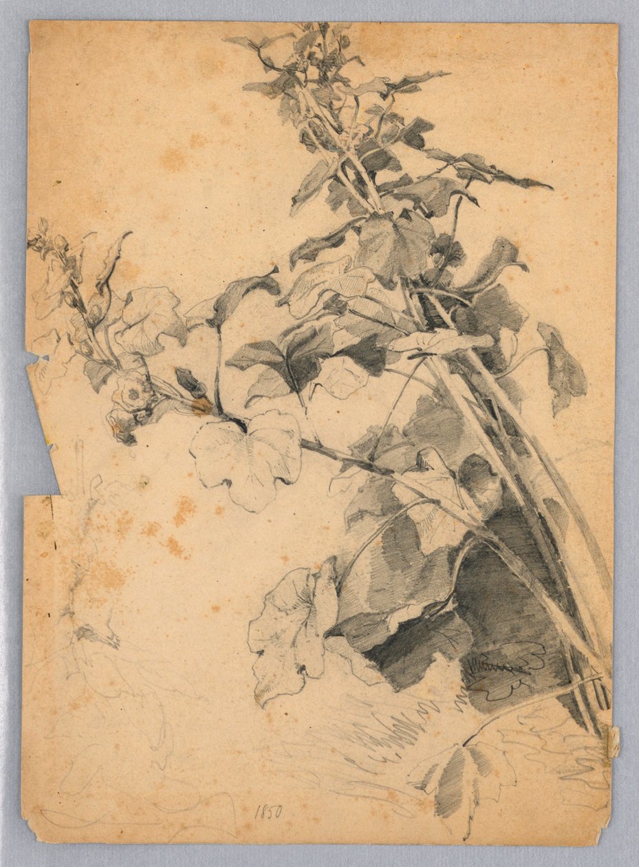 Estudio de follaje de William Trost Richards