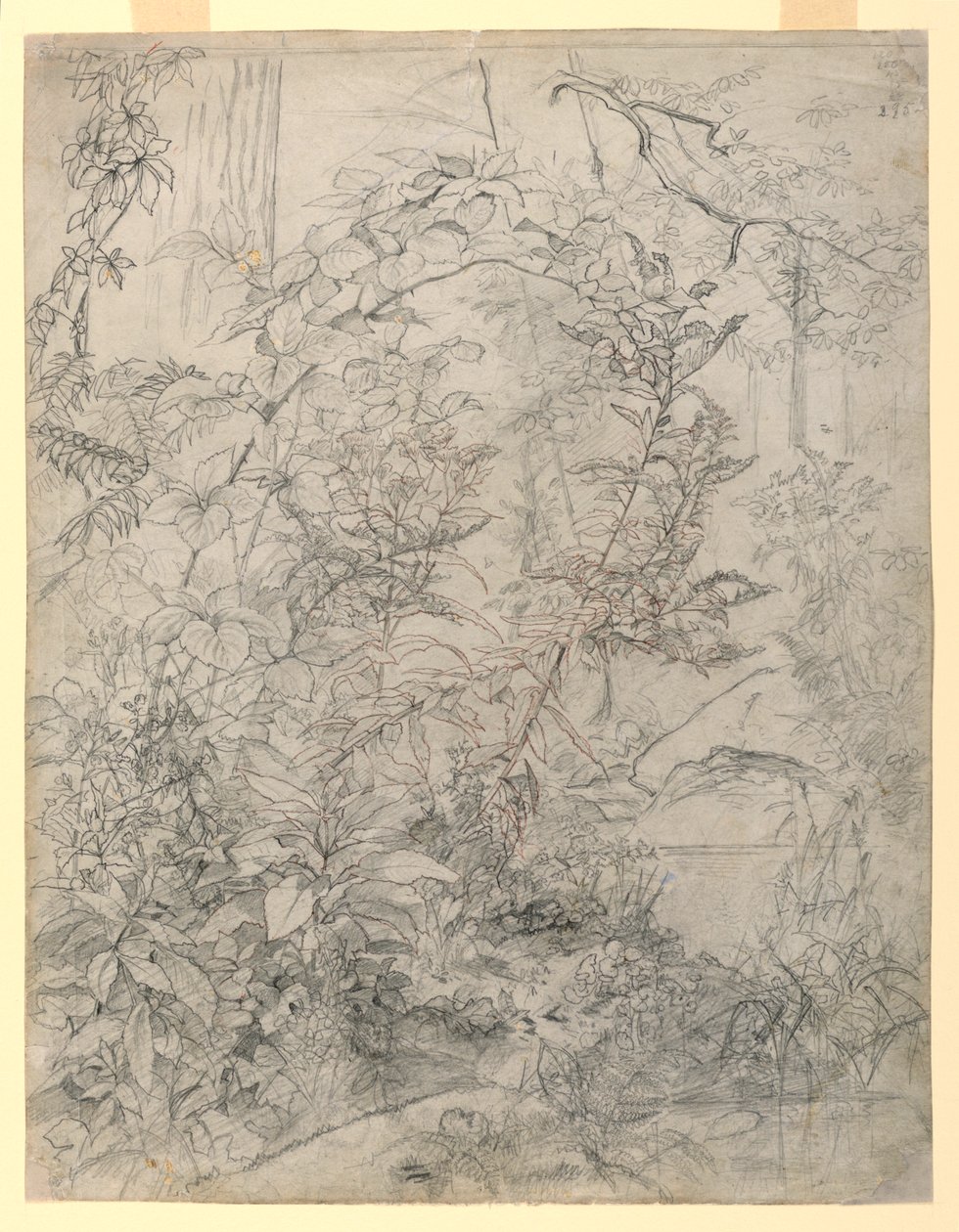 Estudio de follaje de William Trost Richards