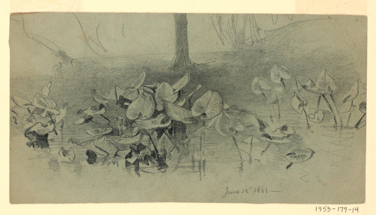Estudio de follaje de William Trost Richards