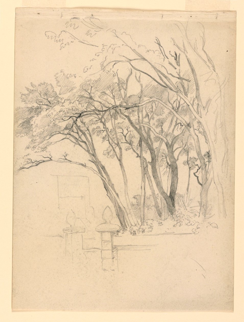 Estudio de follaje de William Trost Richards