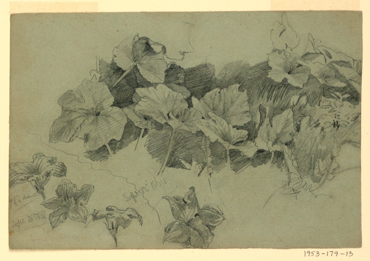 Estudio de follaje de William Trost Richards