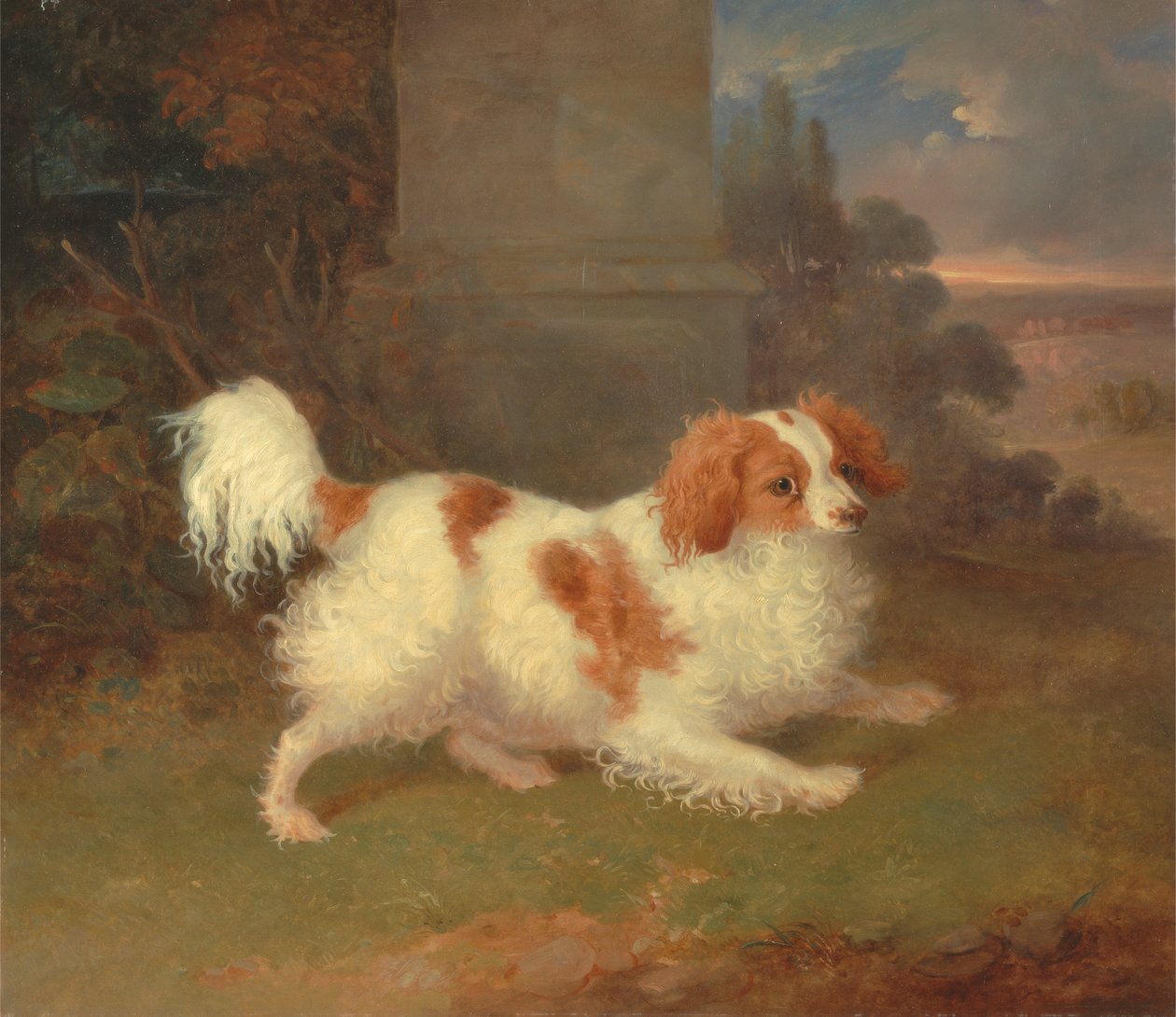 Un Blenheim Spaniel de William Webb