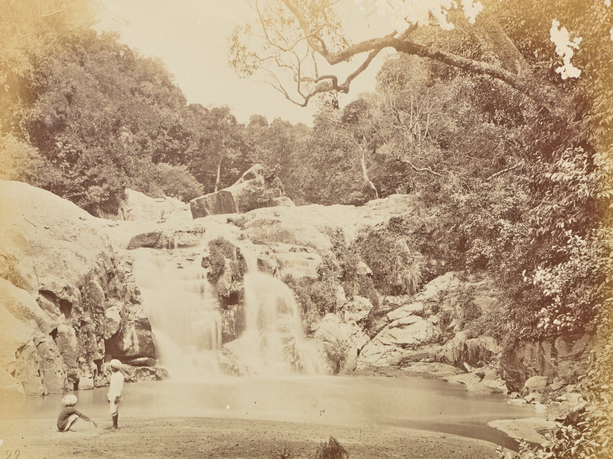 [Cascada] de Willoughby Wallace Hooper