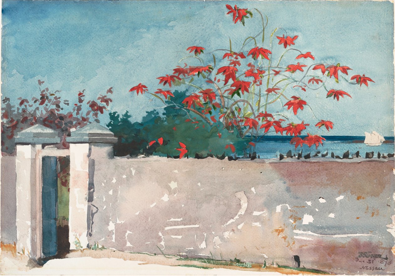 Un muro, Nassau de Winslow Homer