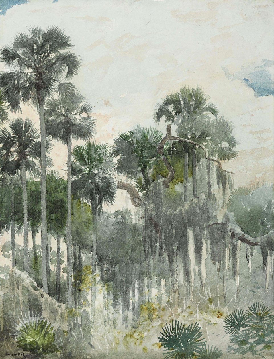 Selva de Florida de Winslow Homer