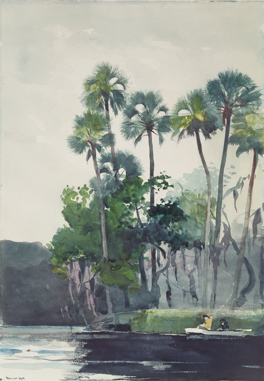 Río Homosassa, 1904 de Winslow Homer
