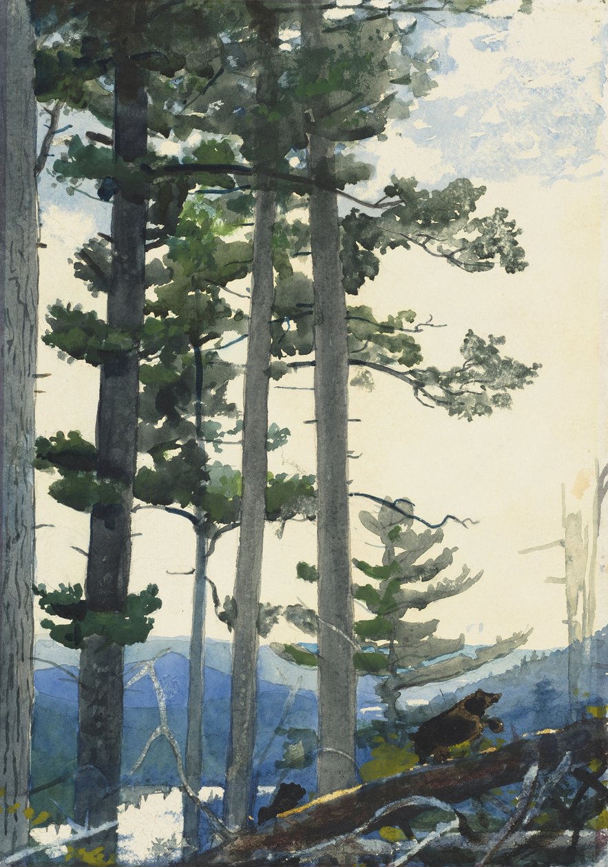 Viejos colonos de Winslow Homer