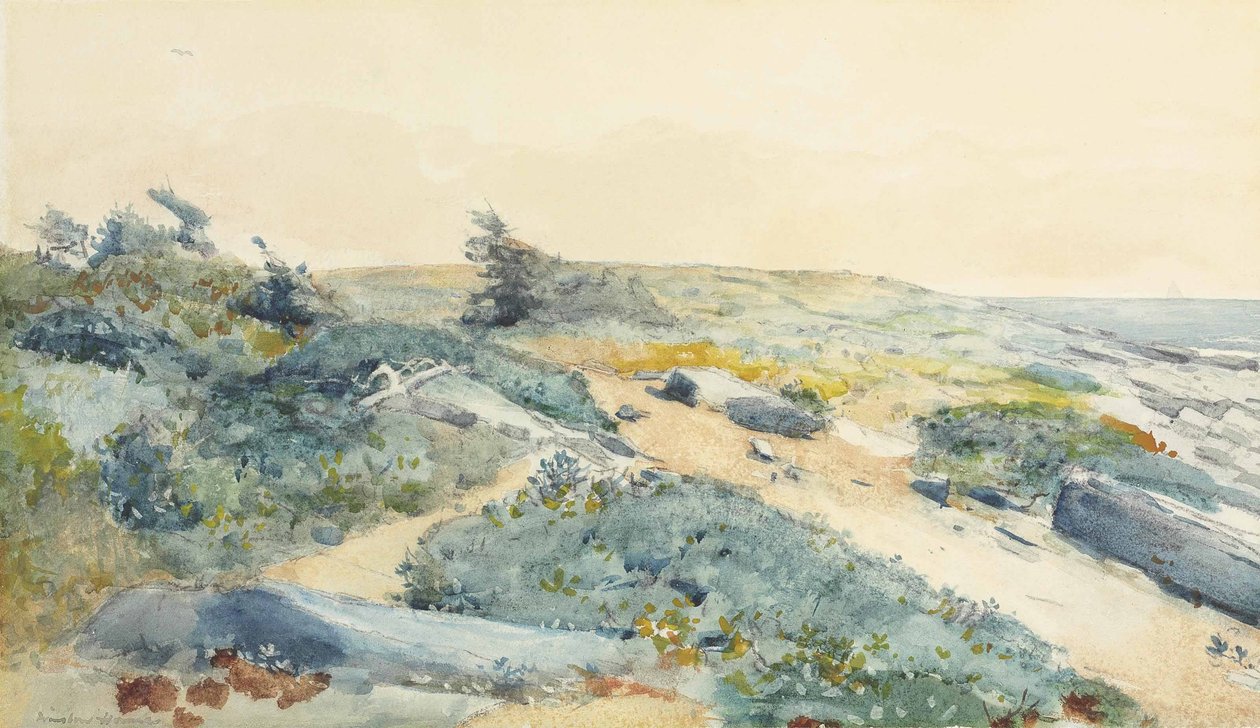 Prouts Neck de Winslow Homer