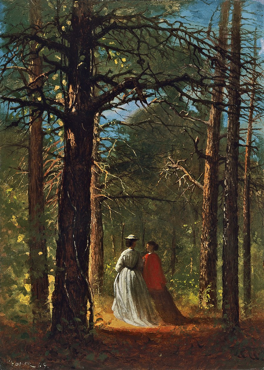 Robles de Waverly de Winslow Homer