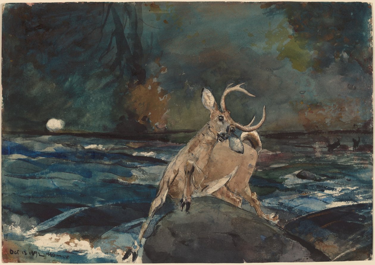 Un buen disparo, Adirondacks, 1892 de Winslow Homer